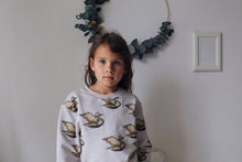 Load image into Gallery viewer, Birds Sweater (LAST ONE 7/8Y)
