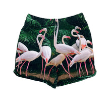 Load image into Gallery viewer, Flamingos Shorts
