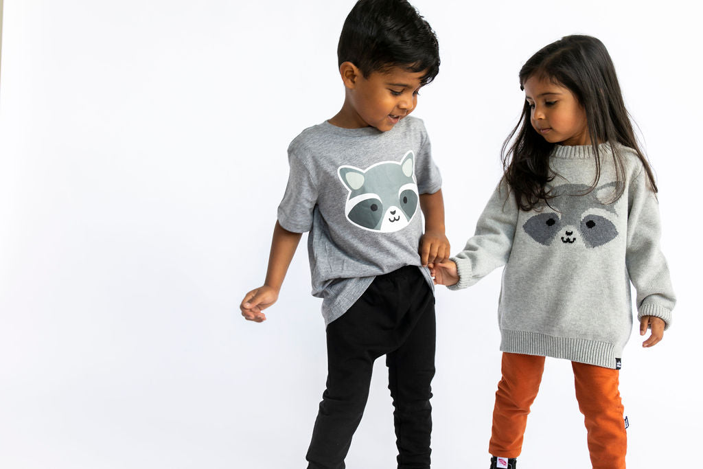 Whistle & Flute Kawaii Raccoon Knit Sweater – The Boys and the Babe
