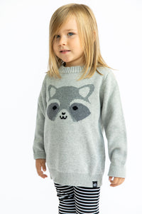 Kawaii Raccoon Knit Sweater