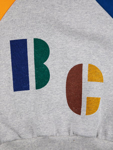 Multicolor B.C. Hooded Sweatshirt
