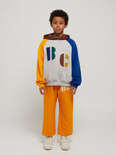Load image into Gallery viewer, Multicolor B.C. Hooded Sweatshirt
