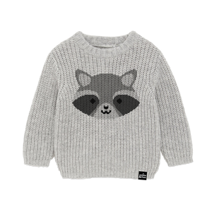 Kawaii Raccoon Knit Sweater